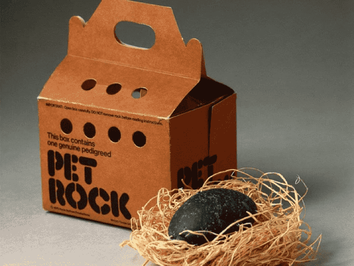 hòn đá thú cưng pet rock