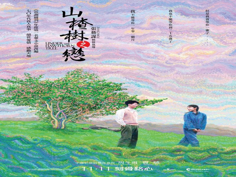 Phim ngôn tình hiện đại hay nhất Trung Quốc: Chuyện tình cây táo gai