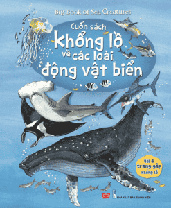 sach big book of sea creatures cuon sach khong lo ve cac loai dong vat bien 247x300 - 5 quyển sách hay về sinh vật biển đầy tính khám phá và bất ngờ