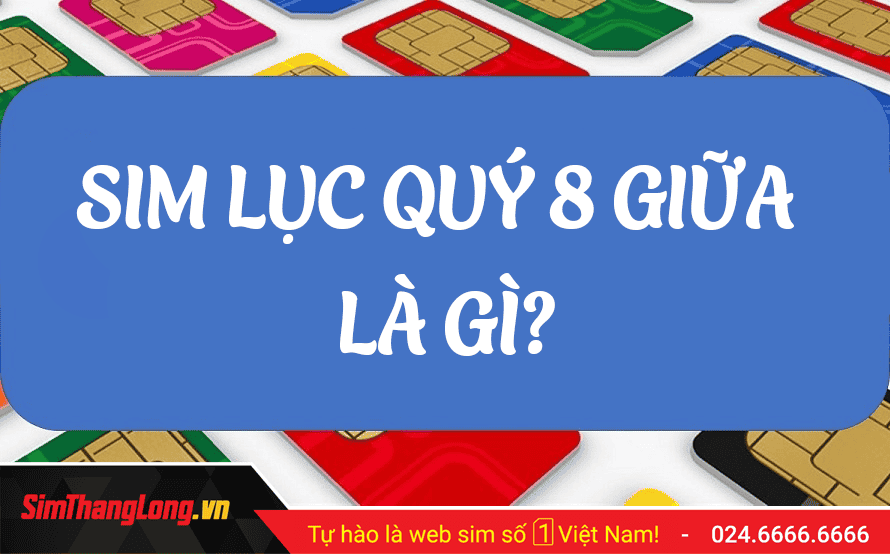 SIM-LUC-QUY-8-GIUA